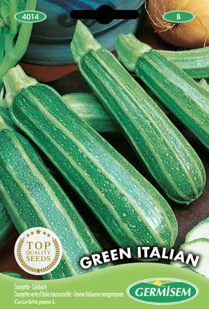 Courgette verte d'Italie (coucourzelle) Green Italian